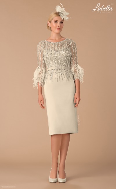 Champagne Feather Sleeve Dress 