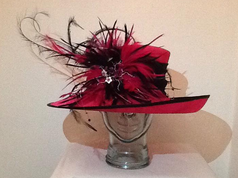 Cerise and Black Feather Hat