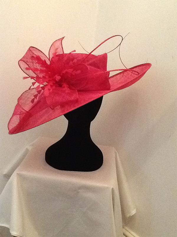  Raspberry Hat